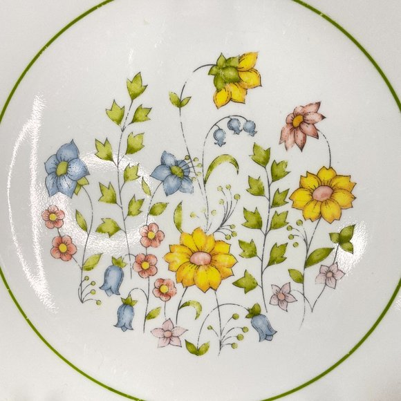 Vintage Corelle Meadow Dinner Plate Flowers Green Rim Circle Replacement 10.25" - Picture 2 of 5
